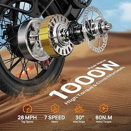 URLIFE E20 1000W Electric Bike With Removable Battery